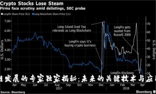 区块链发展的专家独家揭秘：未来的关键技术与应用秘诀