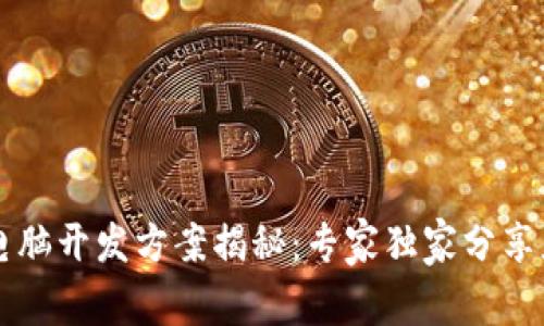 区块链电脑开发方案揭秘：专家独家分享应用秘诀