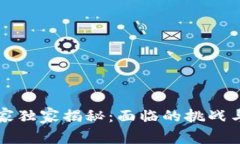 区块链专家独家揭秘：面临的挑战与应对秘诀