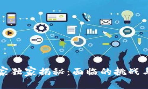 区块链专家独家揭秘：面临的挑战与应对秘诀