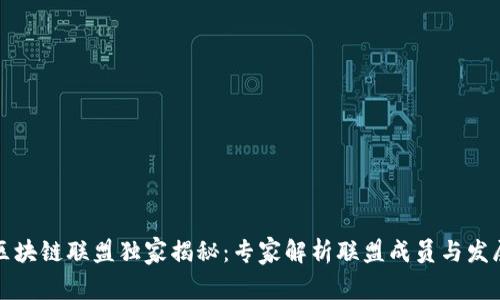 青海区块链联盟独家揭秘：专家解析联盟成员与发展优势