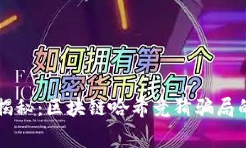 专家深度揭秘：区块链哈希竞猜骗局的独家秘诀