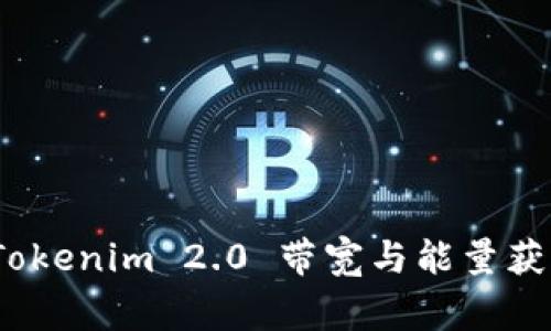 专家揭秘：Tokenim 2.0 带宽与能量获取独家秘诀