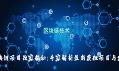 郑州区块链项目独家揭秘：专家解析最新获批项