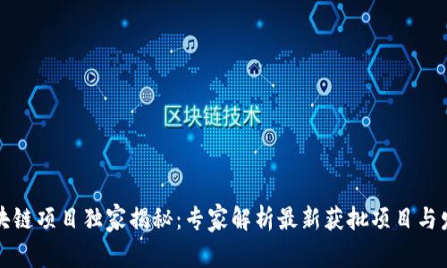 郑州区块链项目独家揭秘：专家解析最新获批项目与发展动向