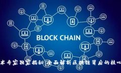 区块链技术专家独家揭秘：全面解析区块链背后