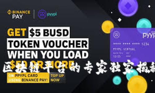 2023年商用区块链平台的专家独家揭秘及应用秘诀