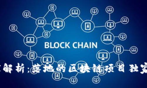 2023年专家解析：落地的区块链项目独家秘诀大揭秘