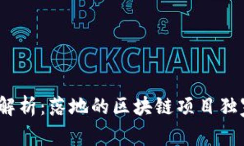 2023年专家解析：落地的区块链项目独家秘诀大揭秘