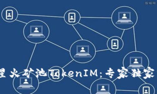 bianoti揭秘星火矿池TokenIM：专家独家分享投资秘诀