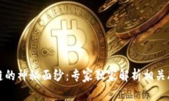 揭开正统区块链的神秘面纱：专家独家解析相关