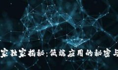 区块链专家独家揭秘：低端应用的秘密与未来潜