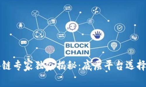 区块链专家独家揭秘：底层平台选择秘诀