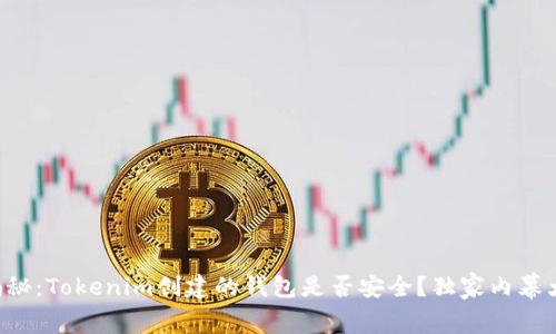 专家揭秘：Tokenim创建的钱包是否安全？独家内幕大揭秘！