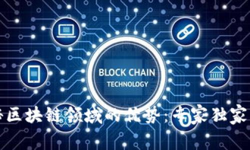 揭秘区块链领域的优势：专家独家解析