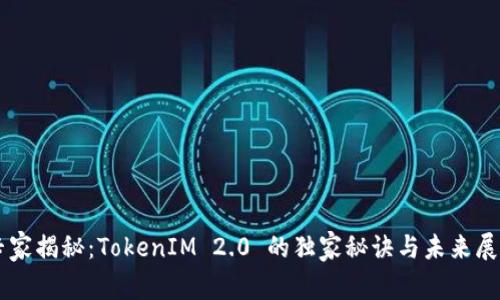 专家揭秘：TokenIM 2.0 的独家秘诀与未来展望