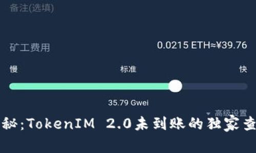 专家揭秘：TokenIM 2.0未到账的独家查询秘诀