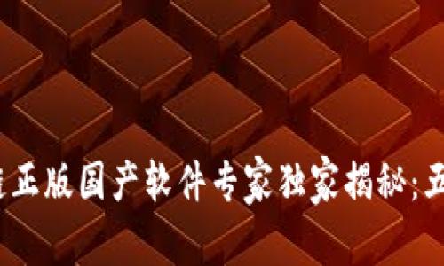 2023年区块链正版国产软件专家独家揭秘：五大公司与秘诀