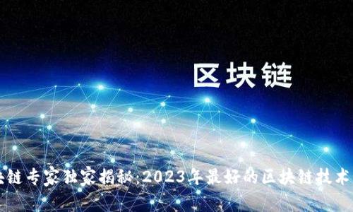 区块链专家独家揭秘：2023年最好的区块链技术秘诀