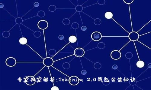 专家独家解析：Tokenim 2.0钱包估值秘诀