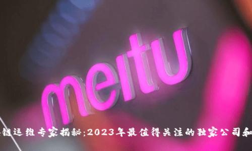 区块链运维专家揭秘：2023年最值得关注的独家公司和秘诀
