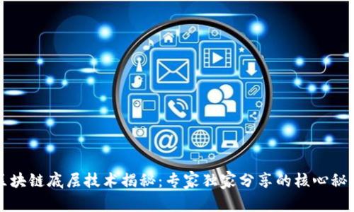 区块链底层技术揭秘：专家独家分享的核心秘诀
