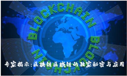 专家揭示：区块链区域链的独家秘密与应用