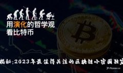 专家揭秘：2023年最值得关注的区块链小密圈独家