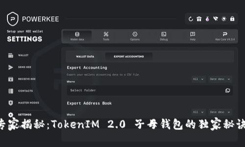 专家揭秘：TokenIM 2.0 子母钱包的独家秘诀！
