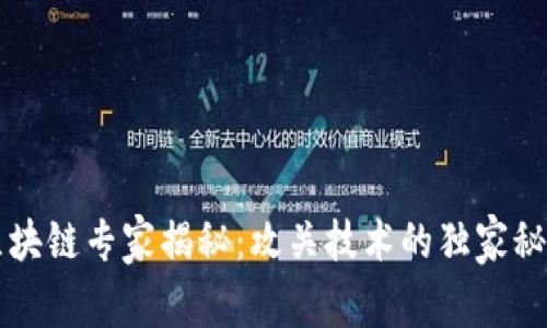 区块链专家揭秘：攻关技术的独家秘诀