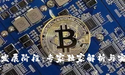 揭秘区块链发展阶段：专家独家解析与实际案例分享