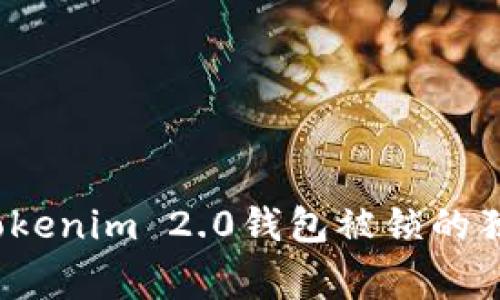 专家揭秘：Tokenim 2.0钱包被锁的独家解锁秘诀