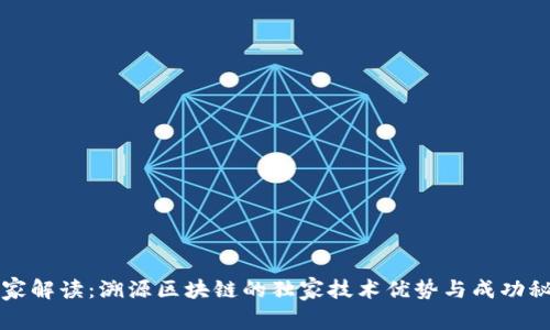 专家解读：溯源区块链的独家技术优势与成功秘诀