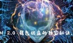 专家揭秘：TokenIM 2.0 钱包被盗的独家秘诀，保护