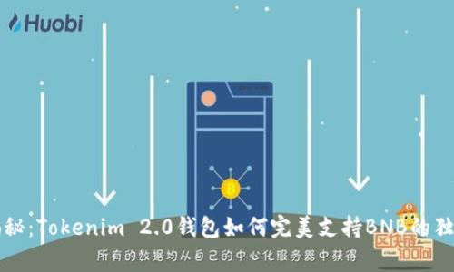 专家揭秘：Tokenim 2.0钱包如何完美支持BNB的独家秘诀