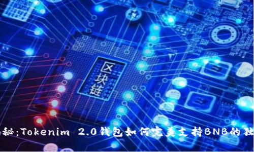 专家揭秘：Tokenim 2.0钱包如何完美支持BNB的独家秘诀