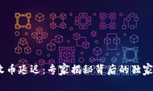 Tokenim 2.0 收币延迟：专家揭秘背后的独家原因与应对秘诀