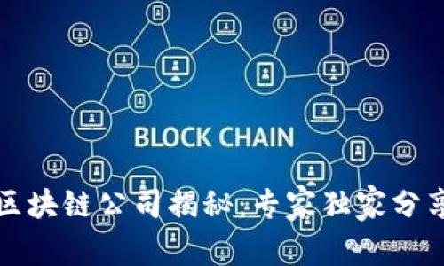 长沙新型区块链公司揭秘：专家独家分享行业秘诀