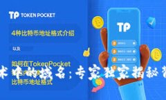 区块链技术中的域名：专家独家揭秘背后的秘诀