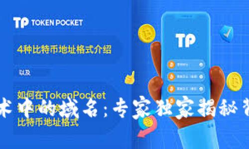 区块链技术中的域名：专家独家揭秘背后的秘诀