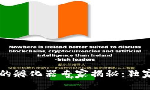 区块链领域的孵化器专家揭秘：独家秘诀大盘点