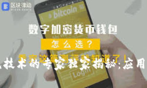 区块链填充技术的专家独家揭秘：应用与发展秘诀