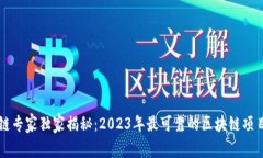 区块链专家独家揭秘：2023年最可靠的区块链项目