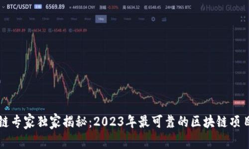 区块链专家独家揭秘：2023年最可靠的区块链项目秘诀