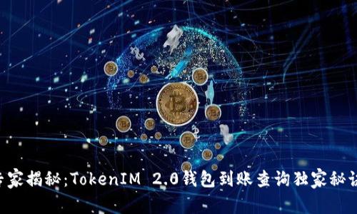 专家揭秘：TokenIM 2.0钱包到账查询独家秘诀！