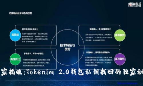 专家揭晓：Tokenim 2.0钱包私钥找回的独家秘诀