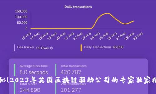 揭秘！2023年英国区块链驱动公司的专家独家推荐