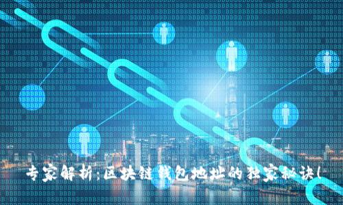 专家解析：区块链钱包地址的独家秘诀！