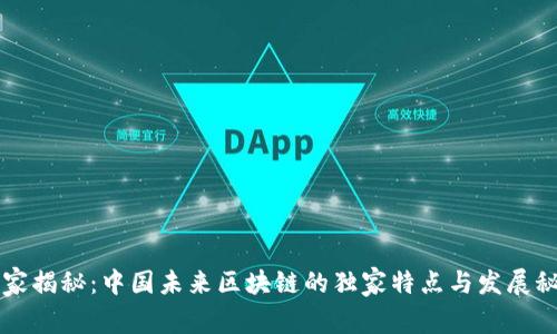 专家揭秘：中国未来区块链的独家特点与发展秘诀