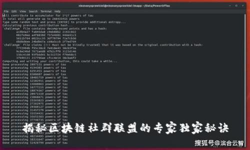揭秘区块链社群联盟的专家独家秘诀